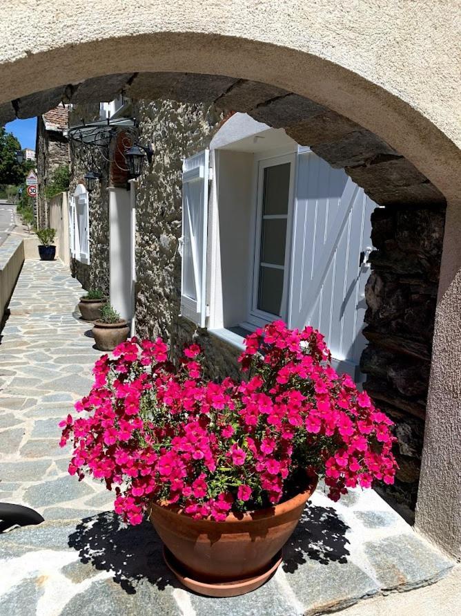 Valle d'AlesaniLa Source 8 Ou 6 Couchages别墅 外观 照片