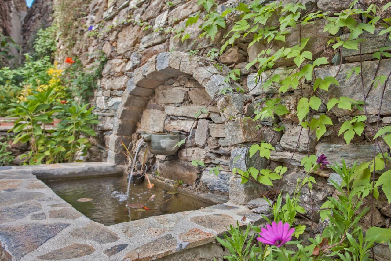 Valle d'AlesaniLa Source 8 Ou 6 Couchages别墅 外观 照片