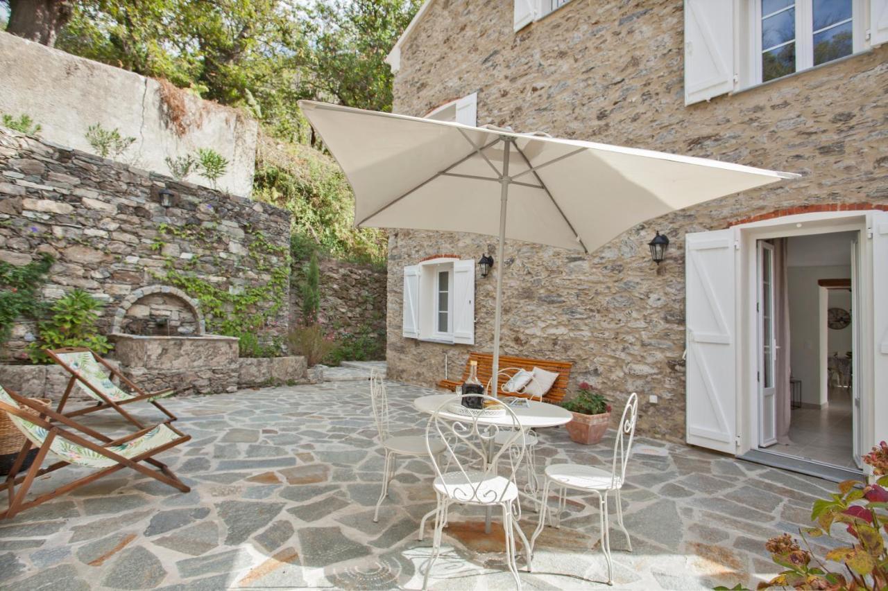 Valle d'AlesaniLa Source 8 Ou 6 Couchages别墅 外观 照片