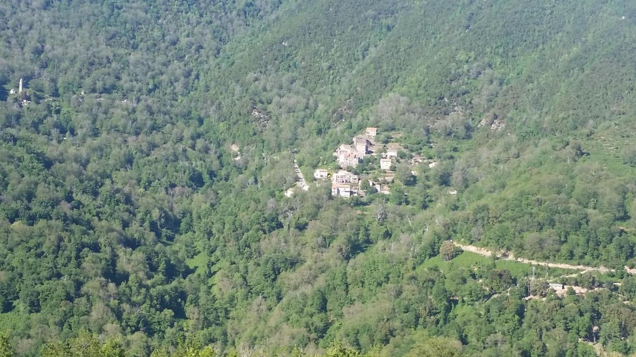 Valle d'AlesaniLa Source 8 Ou 6 Couchages别墅 外观 照片
